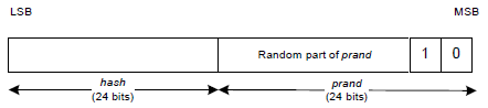 Format of RSI