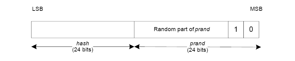 Format of resolvable private address