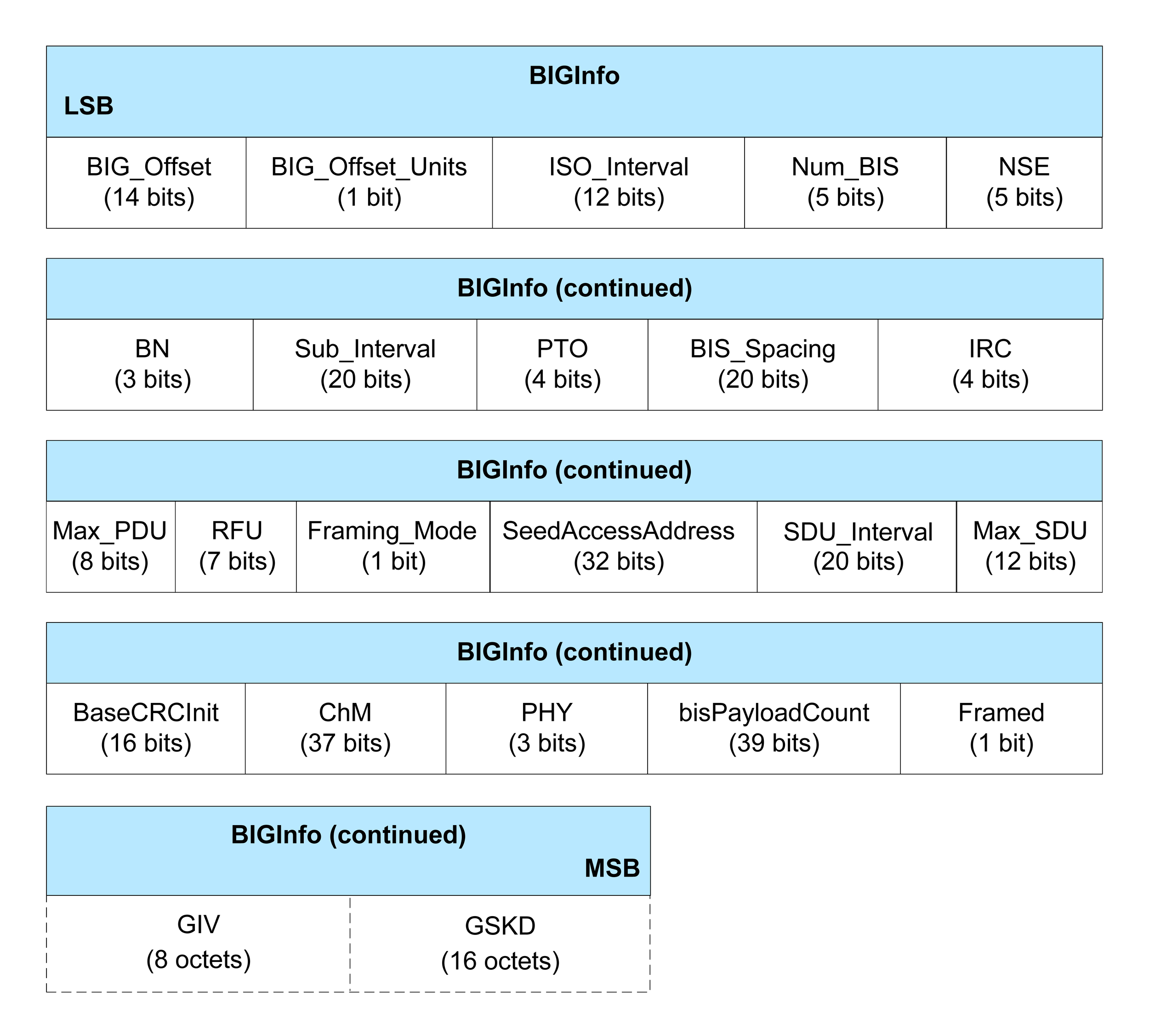 Format of BIGinfo