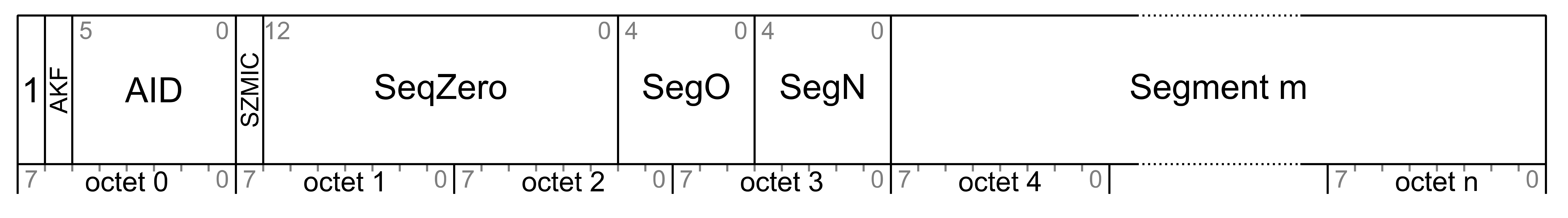 Segmented Access message